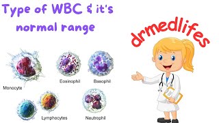 Types of wbc  types of leucocytes  different types of white blood cells normal range [upl. by Dixon508]