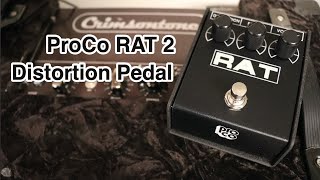 ProCo RAT 2 Distortion Pedal Demo [upl. by Anehsat]