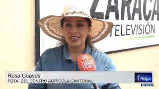 SEQUIA EN SANTO DOMINGO AFECTA A PLANTACIONES DE CACAO Y PLÁTANO [upl. by Dlonyar]