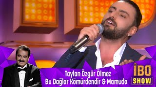 Taylan Özgür Ölmez  BU DAĞLAR KÖMÜRDENDİR amp MAMUDO [upl. by Jethro]