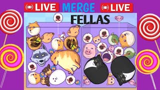 Day 4 🤴 MERGE GAME live streams  live livestream [upl. by Arec481]