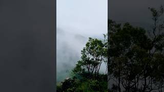 A perfect weekend trip location coorg clouds relaxing mustvisit nature [upl. by Dnama420]