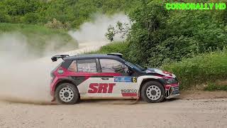 26° Rally Adriatico 2019 CIRT Show Crash and Mistake [upl. by Myrwyn]