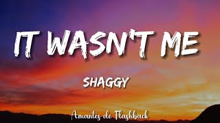 Shaggy  It wasnt me Lyrics [upl. by Eveneg981]