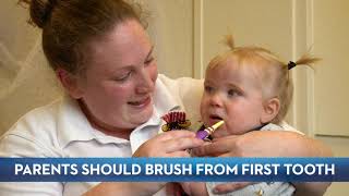 How To Brush Baby Teeth [upl. by Brosine]