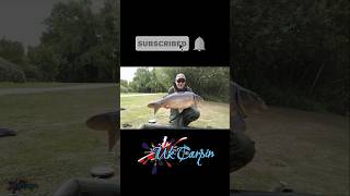 Sandmartin Mirror Anyone  Bluebell Lakes  shorts short carpfishing tonyukcarpin ukcarpin [upl. by Sidoeht]