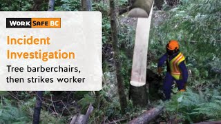 Incident Investigation Tree Barberchairs Then Strikes Worker  WorkSafeBC [upl. by Maribeth]