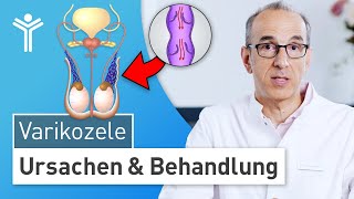 Krampfadern am Hoden Hodenschmerzen durch Varikozele – Fruchtbarkeit gefährdet [upl. by Ruth517]