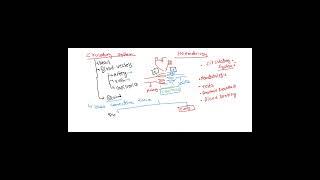 Hematopoiesis Haematology [upl. by Eiramlehcar]