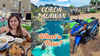 OUR SECOND VISIT TO CORON PALAWAN🌊✨ Budget stay  Motor rental  Davalwu TV [upl. by Harmonia]