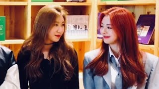 Yuchae Moments 1 Yuna x Chaeryeong [upl. by Eelahc]