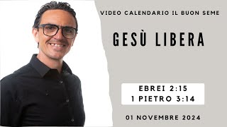 01 NOVEMBRE 2024 Calendario cristiano IL BUON SEME [upl. by Eenimod]