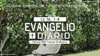 Evangelio Viernes 08 de Noviembre del 2024 Padre Manuel Penagos [upl. by Mauve215]