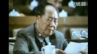 Mao Zedongs Speech at the 9th National Congress of the Communist Party of China [upl. by Rafaj]