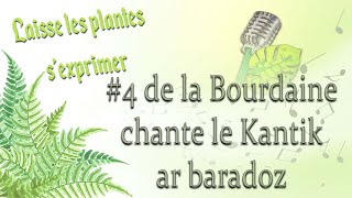 Laisse les plantes sexprimer 4 de la Bourdaine chante le kantik ar baradoz [upl. by Hinda989]