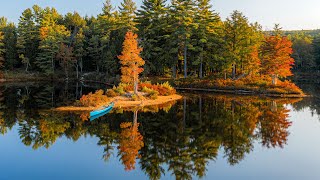 Fall Camping on an Island with my Dog [upl. by Sicular]