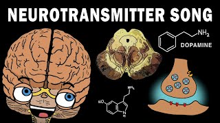 THE NEUROTRANSMITTER SONG [upl. by Eidur]