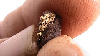 Metal Detecting for Gold Nuggets in WA 2014 pt 6 [upl. by Ahseet]