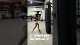 Hook Kick Combo for Kickboxing amp MMA shorts [upl. by Groh]