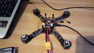 BLHeli S Startup Tones  HG Startup Tone [upl. by Nywra]