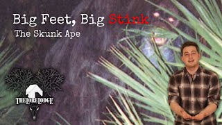 The Skunk Ape of Florida  Folklore [upl. by Janik]