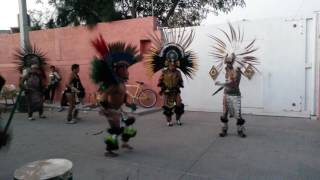 danza azteca medio sol [upl. by Sinnard]