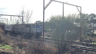 1427 crew shoutout QubeIndependentRail container train slows through Chullora Enfield crossing [upl. by Cioban]