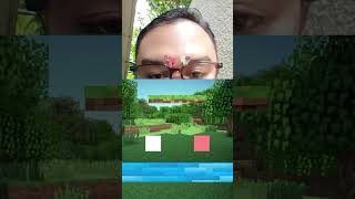 Matching color minecraft gametiktok tiktokfilter gaming shorts [upl. by Sheba864]