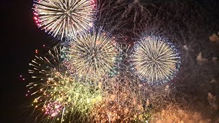 Japan Fireworks 🎆 Tonegawa Sakai Machi fireworks 🎆 japan Tokyo night status tseries [upl. by Nnylahs]