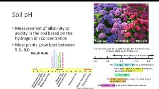 Nutrition in Plants  Class 9 Science  iKen [upl. by Ahsael549]