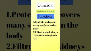 Epithelial Tissues  Types Location Function  Class 9  ncert [upl. by Rene]