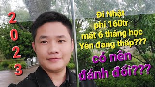 Có nên đi Xuất khẩu lao động Nhật Bản 2023 hay không Ở Việt Nam hay Đi Nhật sẽ được gì và mất gì [upl. by Gittel105]