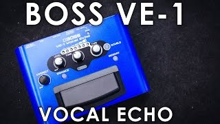 BOSS VE 1 Vocal Echo [upl. by Carleen28]