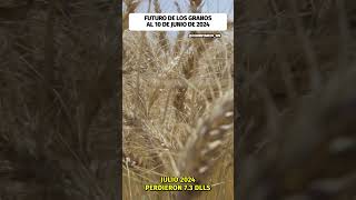 Futuro de los granos con cierre al 10 de junio de 2024 agronoticias shortsvideo [upl. by Enreval]