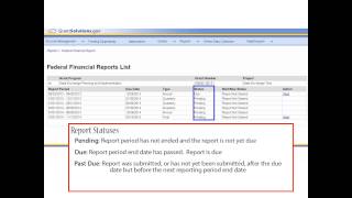 Introduction to the Federal Financial Report FFR for Grantees [upl. by Neddy97]