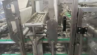 Packline PXG4 Four Lane Stainless Cup Packaging Machine  8860B [upl. by Eimmas]