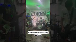 Bullet With Butterfly Wings  The Smashing Pumpkins cover [upl. by Traci]