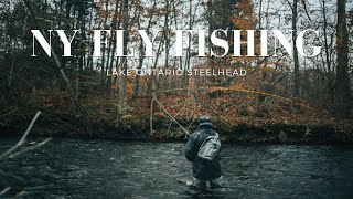 Early Run NY Steelhead Fishing [upl. by Anot202]