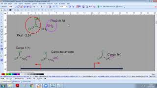 Cálculo del punto isoeléctrico PI en aminoácidos [upl. by Inez]