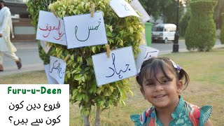 Faroo E Deen  Furu U Deen In Urdu  Farogh E Deen Shia [upl. by Conni231]