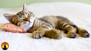 8 Hour Super Sleep Music Relaxing Music Meditation Music Sleeping Music Relaxation Music ☯2479 [upl. by Larena953]