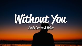 David Guetta  Without You Lyrics ft Usher [upl. by Cormac]