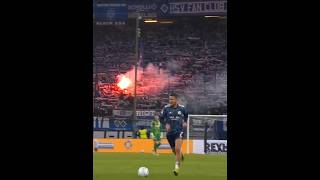 Schalke vs HSV Comeback🔥 schalke edit [upl. by Ecnedurp701]