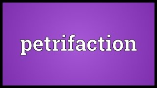 Petrifaction Meaning [upl. by Eannaj]