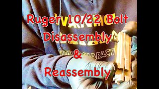 Ruger 1022 Bolt disassembly and reassembly [upl. by Tnerual]