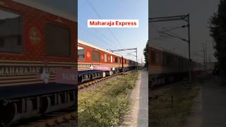 The Maharaja Express 😍 reels trending [upl. by Germayne]