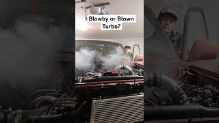 Blowby or Blown Turbo toyota landcruiser turbo diesel cummins [upl. by Cailean556]