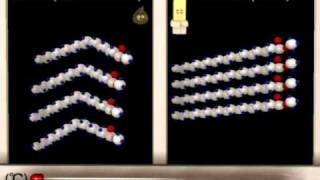 Lipid Structure Function Animation [upl. by Damalas]