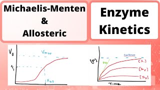 Enzyme Kinetics  Biochemistry Michealis Menten amp Allosteric [upl. by Susanetta]