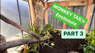 MONKEY TAIL SKINK ENCLOSURE BUILD Part 3 [upl. by Darra]